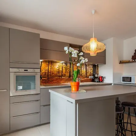 Furnished Flat